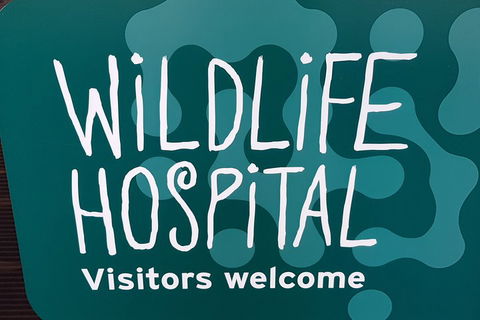 Healesville Sanctuary And Rayners Orchard Tour From Melbourne - Grafton Accommodation 1