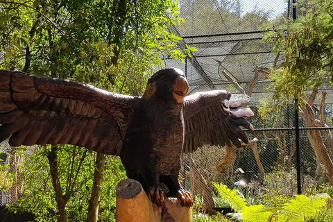 Healesville Sanctuary And Rayners Orchard Tour From Melbourne - Grafton Accommodation 2