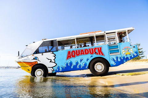 Aquaduck & Your Choice Of Gold Coast Rainforest Tour - Grafton Accommodation 3