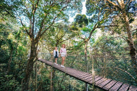 Aquaduck & Your Choice Of Gold Coast Rainforest Tour - Grafton Accommodation 4