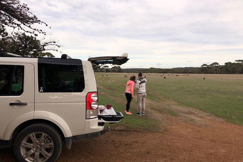 Kangaroo Island 4WD Tour - Flinders Chase - Grafton Accommodation 3