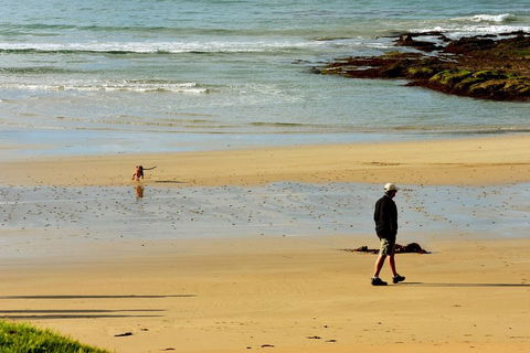 Ultimate Reverse Direction - 12 Apostles, Great Ocean Road - Small Group Tour - Grafton Accommodation 1