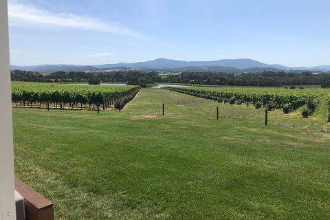 Yarra Valley, Dandenong Ranges Inc. Lunch With Wine,plus Morning Tea,chocolate - Grafton Accommodation 3