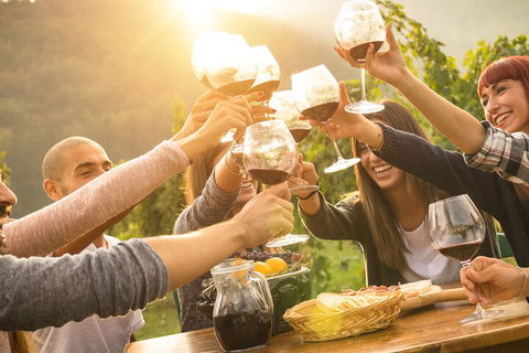 Yarra Valley, Dandenong Ranges Inc. Lunch With Wine,plus Morning Tea,chocolate - Grafton Accommodation 4