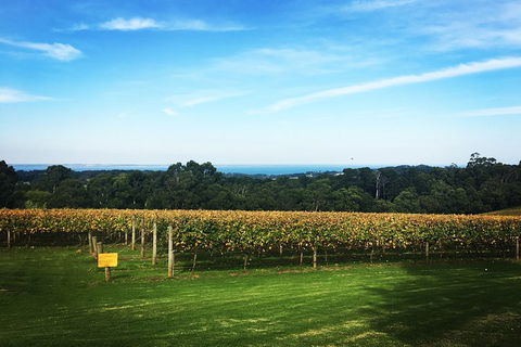 Yarra Valley Private Car Winery Tour And Chocolate.1-7 Passengers One Car Price - Grafton Accommodation 0