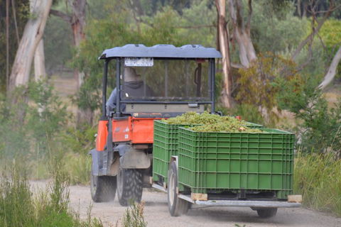 Yarra Valley Private Car Winery Tour And Chocolate.1-7 Passengers One Car Price - Grafton Accommodation 1