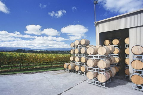 Yarra Valley Private Car Winery Tour And Chocolate.1-7 Passengers One Car Price - Grafton Accommodation 2
