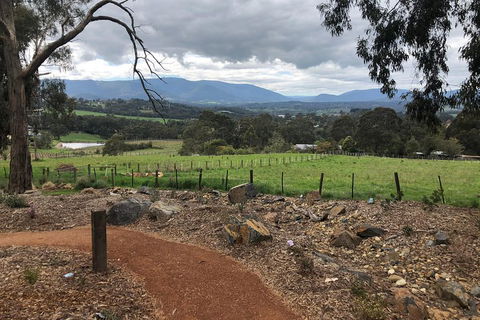 Yarra Valley Wine Tour Inc Lunch With A Glass Of Wine, Tastings And Chocolate - Grafton Accommodation 0