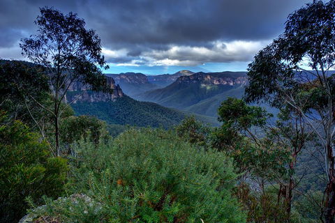 Ultimate Blue Mountains And Wildlife Tour - Grafton Accommodation 1
