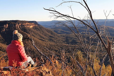 Ultimate Blue Mountains Waterfalls, Walks & Sunset PRIVATE Tour - Grafton Accommodation 2