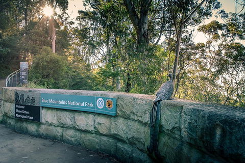 Ultimate Blue Mountains Waterfalls, Walks & Sunset PRIVATE Tour - Grafton Accommodation 3