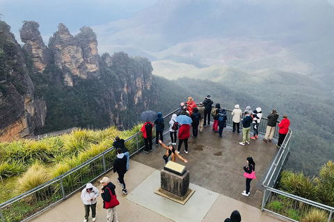 PJ Blue Mountains Supreme Day Tour - Grafton Accommodation 1