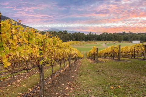 Yarra Valley Boutique Winery Tour From Melbourne - Grafton Accommodation 3
