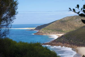 Private Port Stephens Day Trip from Sydney including Dolphin Cruise