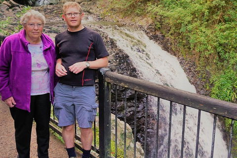 Natural Arch, Rainforest & Volcano Canyon - Private Half Day Tour - Grafton Accommodation 1