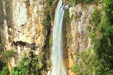 Natural Arch, Rainforest & Volcano Canyon - Private Half Day Tour - Grafton Accommodation 2