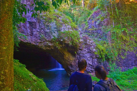 Natural Arch, Rainforest & Volcano Canyon - Private Half Day Tour - Grafton Accommodation 4
