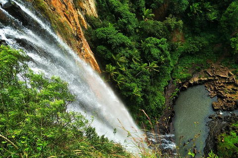 Natural Arch, Rainforest & Volcano Canyon - Private Half Day Tour - Grafton Accommodation 5