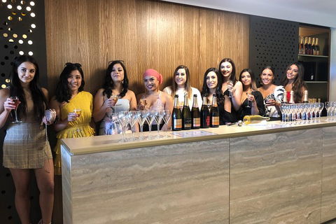 Yarra Valley Public Winery Tours - Grafton Accommodation 0