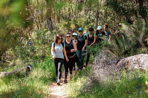 Half-Day Yanchep Ghost House Wilderness Guided Hike Tour - Grafton Accommodation 3