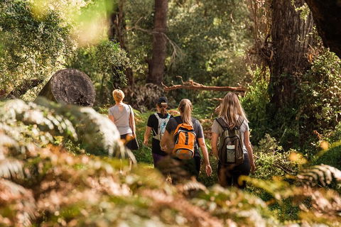Half-Day Yanchep Ghost House Wilderness Guided Hike Tour - Grafton Accommodation 5