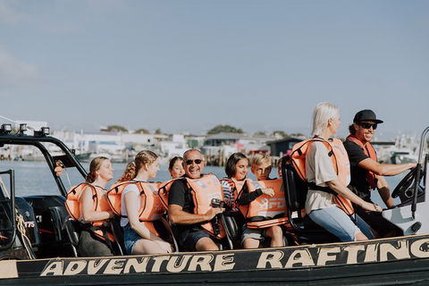 Adventure Whale Watching Tour Mooloolaba - Grafton Accommodation 4