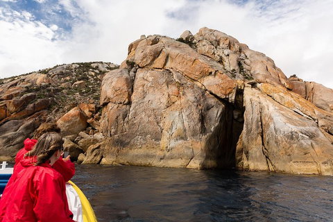 Wilsons Promontory Wilderness Cruise From Tidal River - Grafton Accommodation 3