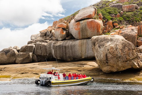 Wilsons Promontory Wilderness Cruise From Tidal River - Grafton Accommodation 4