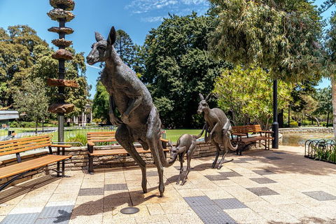 Highlights & Hidden Gems With Locals: Best Of Perth Private Tour - Grafton Accommodation 3