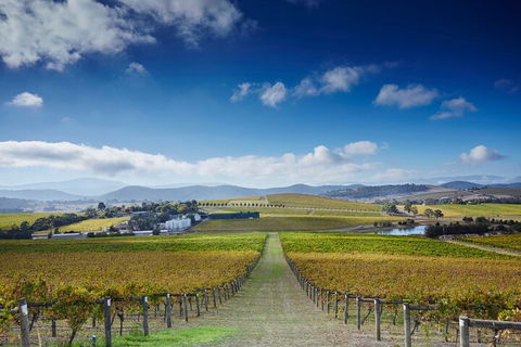Yarra Valley Wine And Wildlife Self-Driving Tour - Grafton Accommodation 1