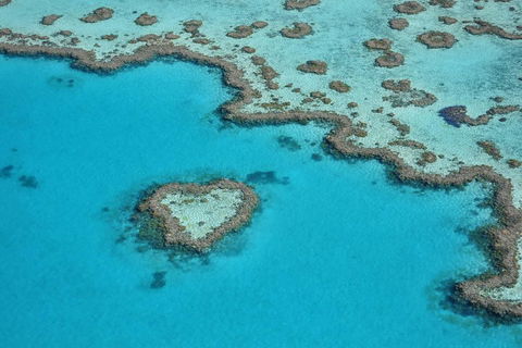 Reef And Island Scenic Flight From Airlie Beach - Grafton Accommodation 5