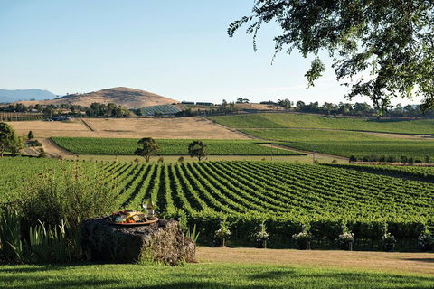 Yarra Valley 2-6 Guests Premium Food And Wine Inc Lunch At Dominique Portet - Grafton Accommodation 2