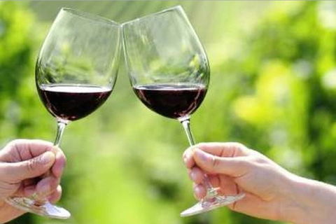 Yarra Valley Premium Tour Inc Lunch And Cheese And Wine Pairing At De Bortoli - Grafton Accommodation 5