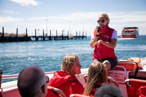 Adventure Rottnest Tour With Ferry & Adventure Cruise From Perth Or Fremantle - Grafton Accommodation 4