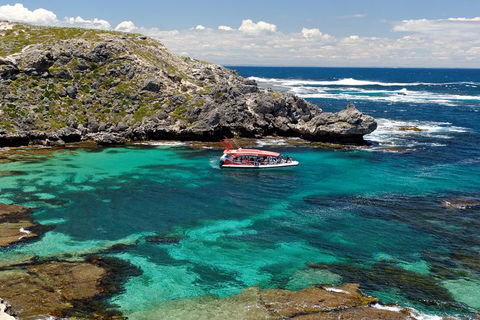 Adventure Rottnest Tour With Ferry & Adventure Cruise From Perth Or Fremantle - Grafton Accommodation 5