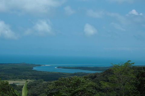 Cape Tribulation, Daintree Rainforest And Wildlife Tour - Grafton Accommodation 1