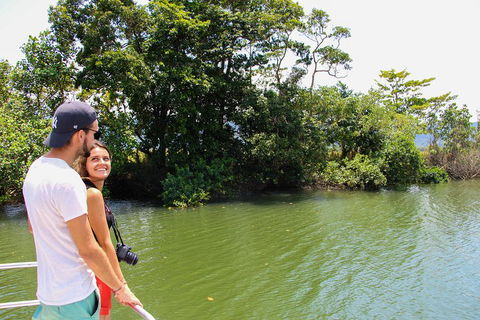 Cape Tribulation, Daintree Rainforest And Wildlife Tour - Grafton Accommodation 2