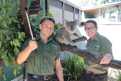 Virtual Interactive Australian Wildlife Tour With Private Guide-Wildlife Habitat - Grafton Accommodation 0