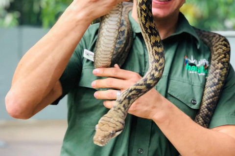 Virtual Interactive Australian Wildlife Tour With Private Guide-Wildlife Habitat - Grafton Accommodation 1