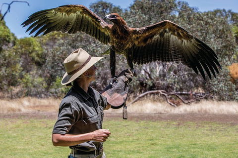 One Day Kangaroo Island Sip & See Tour With Return Ferry Transfers From Adelaide - Grafton Accommodation 0