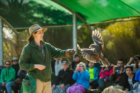 One Day Kangaroo Island Sip & See Tour With Return Ferry Transfers From Adelaide - Grafton Accommodation 3
