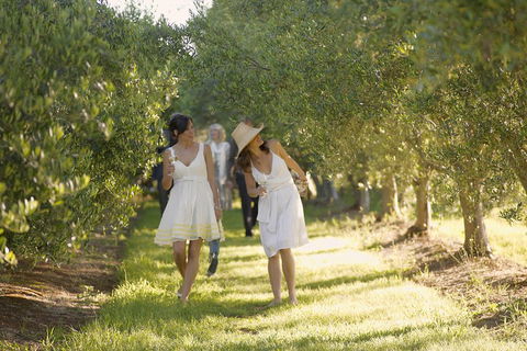 Yarra Valley Wine Tour With Local Harvest Tastings From Melbourne - Grafton Accommodation 0
