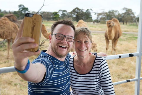 Off-Road Safari At Werribee Open Range Zoo - Grafton Accommodation 1