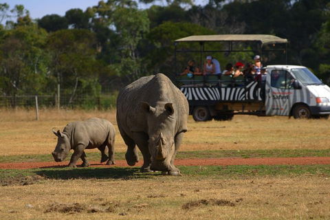 Off-Road Safari At Werribee Open Range Zoo - Grafton Accommodation 5