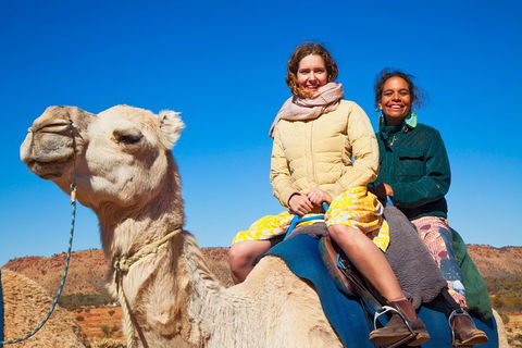 Alice Springs Camel Tour - Grafton Accommodation 3