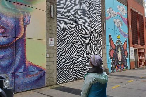 Jimmy C Street Art Walking Tour - Grafton Accommodation 2