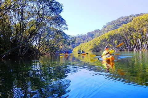 Half-Day Sydney Middle Harbour Guided Kayaking Eco Tour - Grafton Accommodation 1