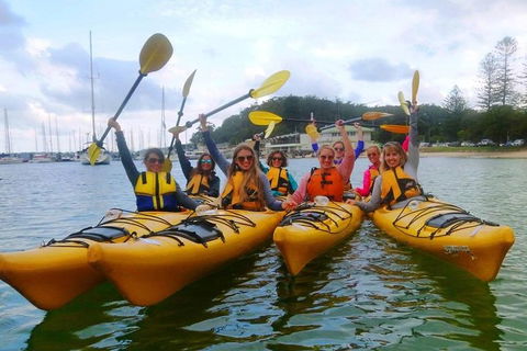 Half-Day Sydney Middle Harbour Guided Kayaking Eco Tour - Grafton Accommodation 2