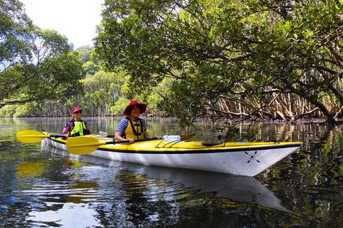 Half-Day Sydney Middle Harbour Guided Kayaking Eco Tour - Grafton Accommodation 3