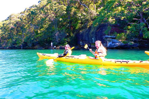 Half-Day Sydney Middle Harbour Guided Kayaking Eco Tour - Grafton Accommodation 4